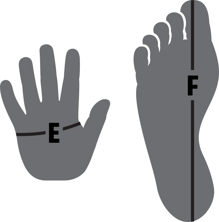 Таблица размеров: измерение руки и ноги.